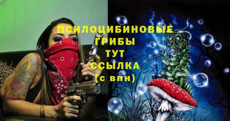 Галлюциногенные грибы Cubensis  blacksprut сайт  Мирный 